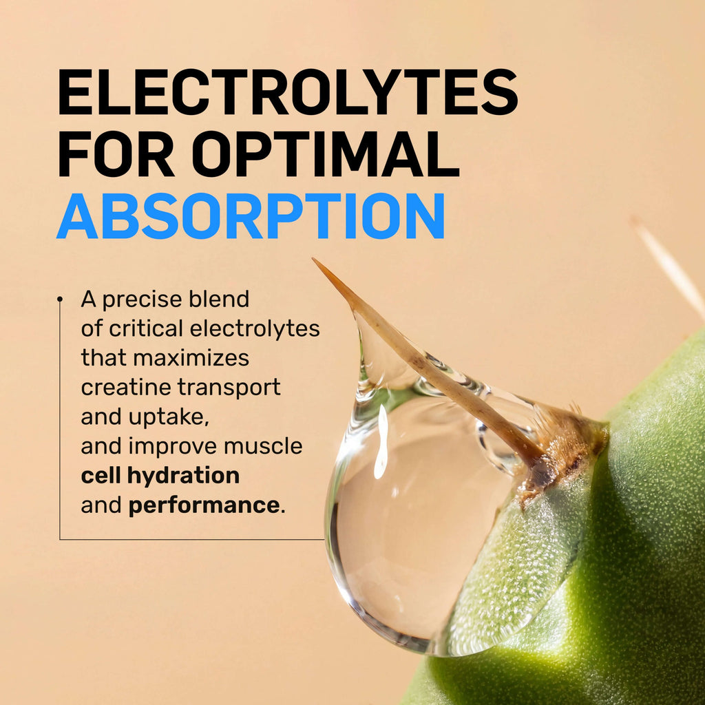 Raspberry Lime Creatine HCl Powder - Raspberry Lime Made for Quick Mixing Around Workouts