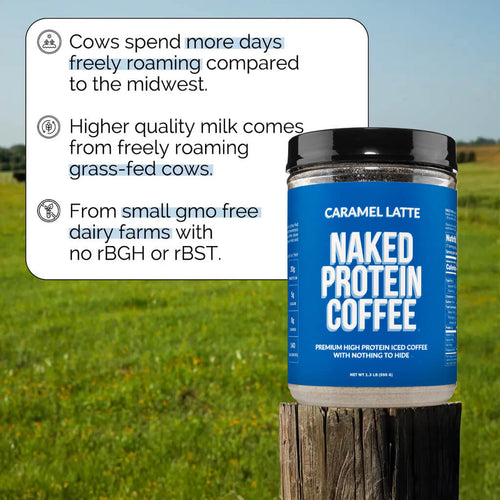 Caramel Latte Protein Iced Coffee - Caramel Latte Made for Quick Coffee - Based Protein Drinks