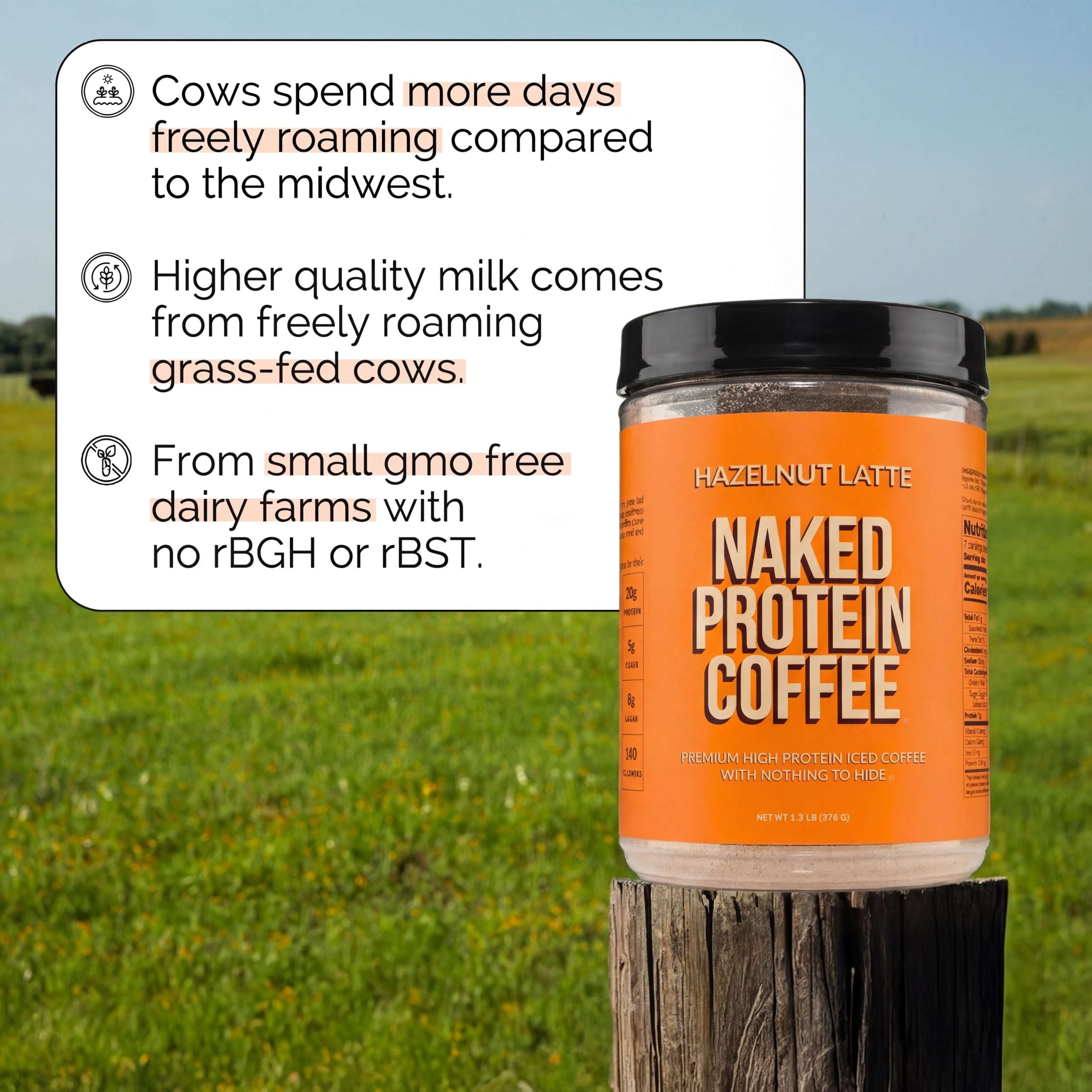Hazelnut Latte Protein Iced Coffee - Hazelnut Latte Made for Quick Coffee - Based Protein Drinks