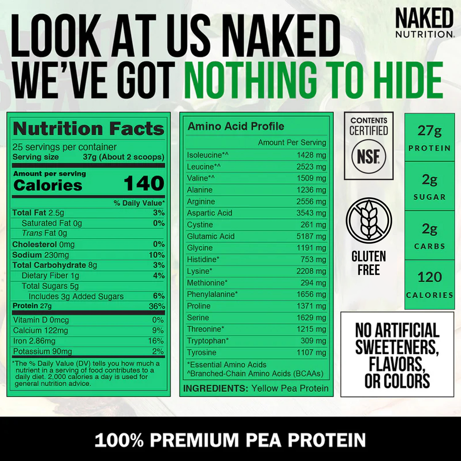 Pea Protein Powder - Unflavored - Standard Size Made for Shakes, Smoothies and Recipes