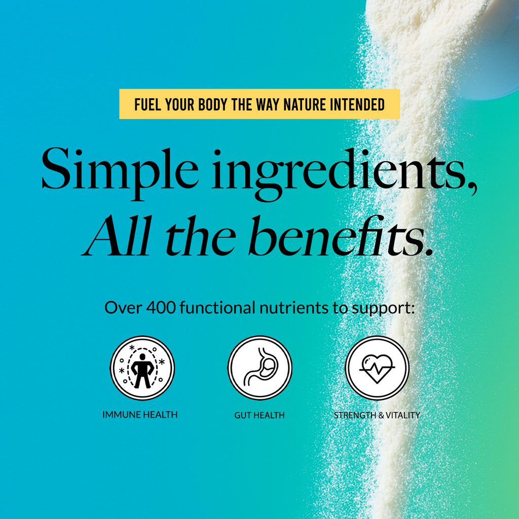 Grass - Fed Colostrum Powder - Colostrum Powder Made for Convenient Daily Collagen Use