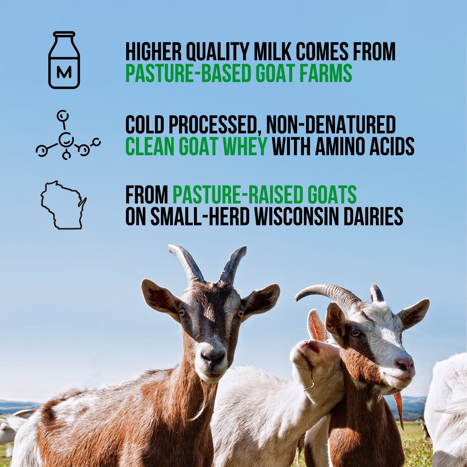 Vanilla Goat Whey Protein Powder - Vanilla Made for Shakes, Smoothies and Recipes