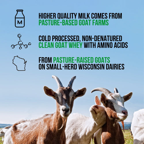 Chocolate Goat Whey Protein Powder - Chocolate Made for Shakes, Smoothies and Recipes