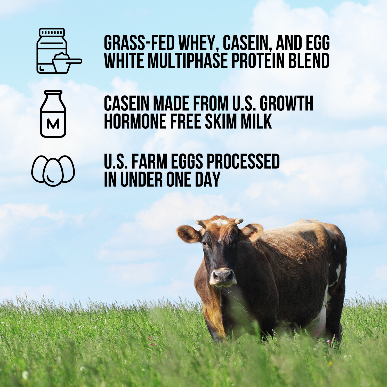 Protein Powder Blend - 3LB Egg Whey and Casein Protein Blend - 3LB Made for Shakes, Smoothies and Recipes