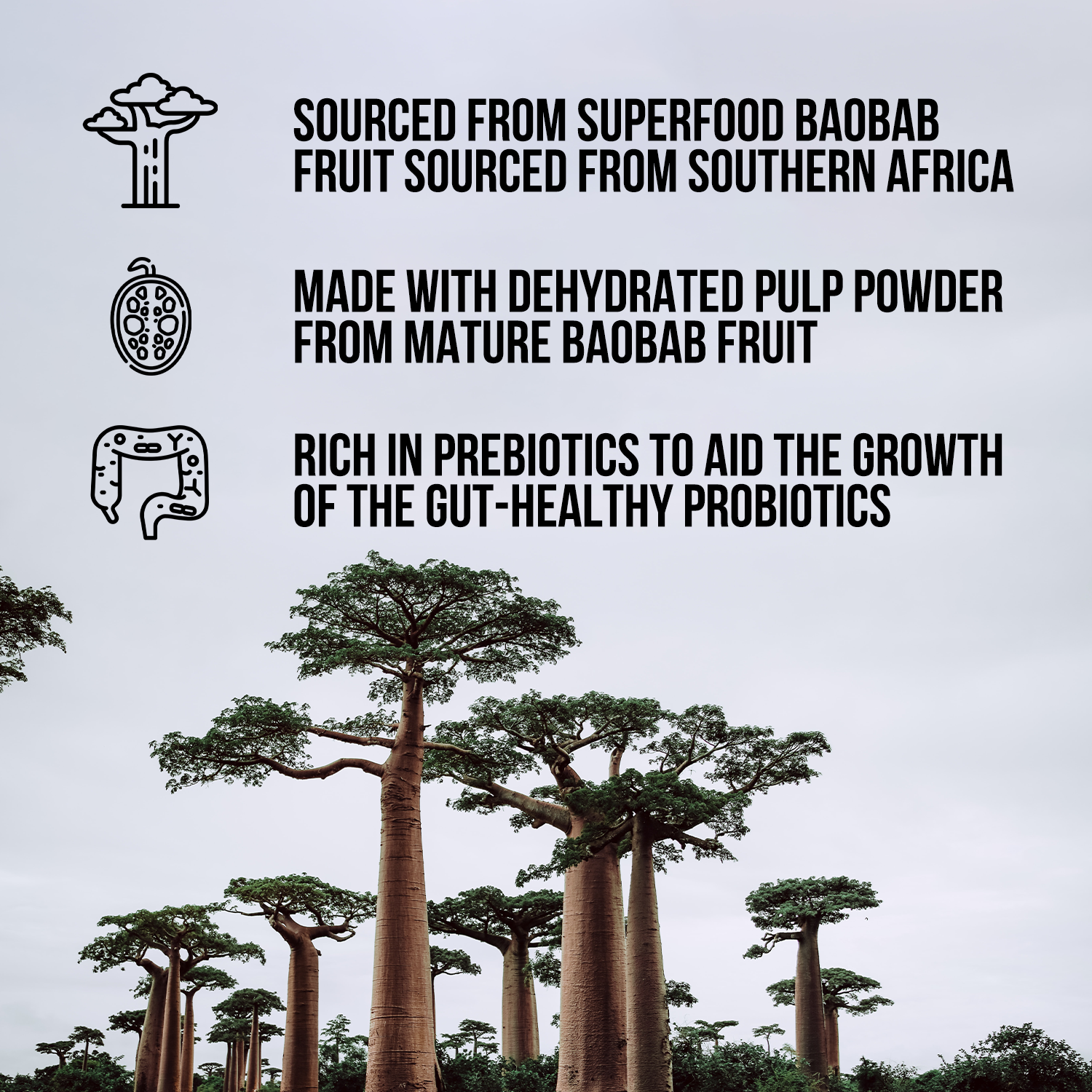 Organic Fiber Supplement Made for Flexible Home or Travel Use
