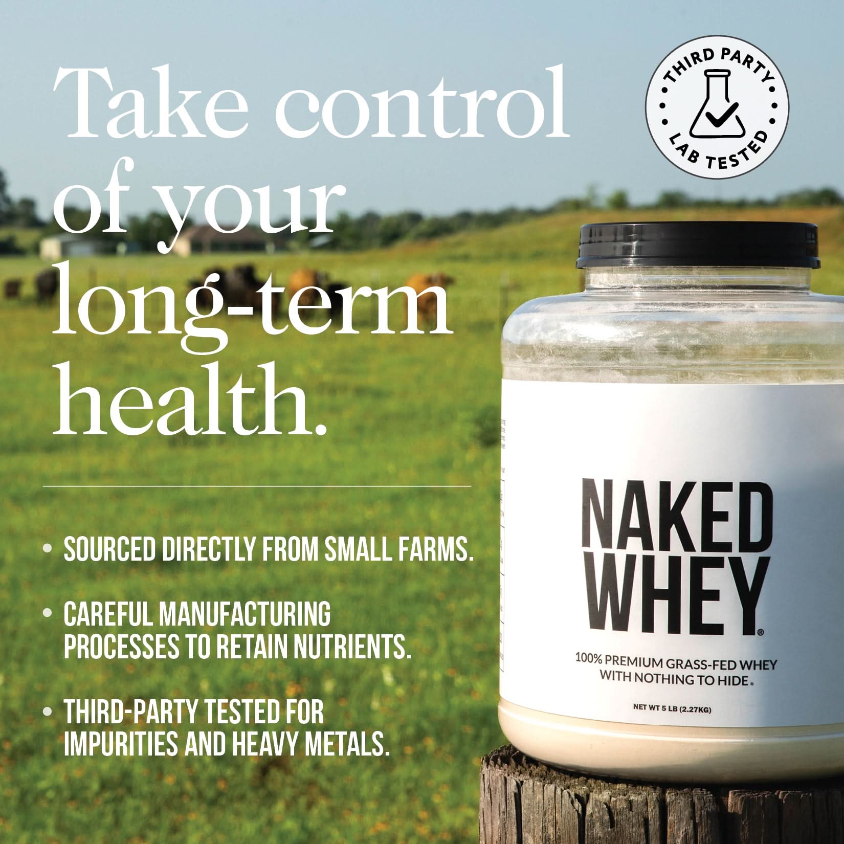 Vanilla Whey Protein Powder - Vanilla - Value Size Made for Shakes, Smoothies and Recipes
